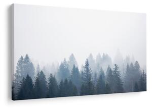 Kép - Ködös erdő (90x60 cm)