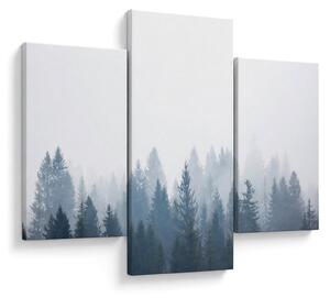 Kép - Ködös erdő (90x60 cm)