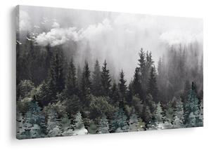 Kép - Erdő illusztrált elemekkel (90x60 cm)