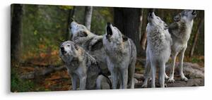 Kép - Farkasok a sziklán (120x50 cm)