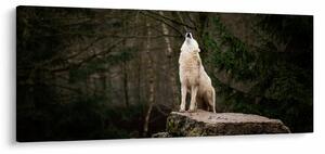 Kép - A farkas üvöltése (120x50 cm)