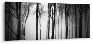 Kép - Farkas a sötét erdőben (120x50 cm)
