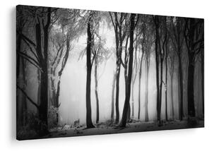 Kép - Farkas a sötét erdőben (90x60 cm)