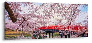 Kép - Hirosaki, Japán (120x50 cm)