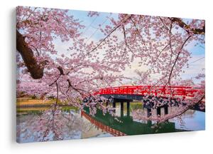 Kép - Hirosaki, Japán (90x60 cm)