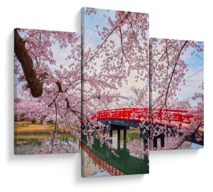 Kép - Hirosaki, Japán (90x60 cm)