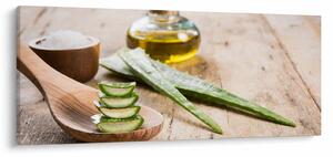 Kép - Aloe vera (120x50 cm)