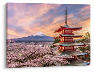 Kép - Fuji (70x50 cm)