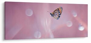 Kép - Pillangó (120x50 cm)