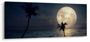 Kép - Strand teliholddal (120x50 cm)