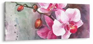 Kép - Orchideák, akvarell (120x50 cm)