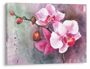 Kép - Orchideák, akvarell (70x50 cm)