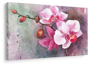 Kép - Orchideák, akvarell (90x60 cm)