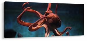 Kép - Octopus (120x50 cm)