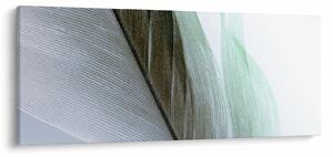 Kép - Tollak, makro (120x50 cm)