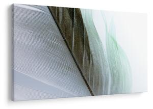 Kép - Tollak, makro (90x60 cm)