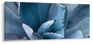Kép - Agave (120x50 cm)