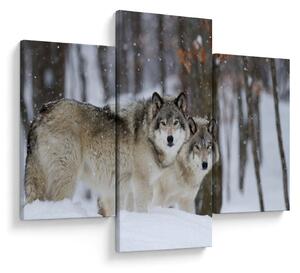Kép - Farkasok télen (90x60 cm)