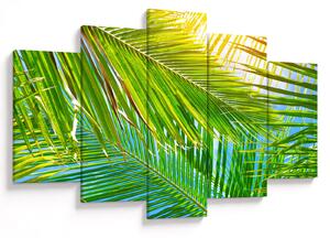Kép - Pálmalevelek (150x105 cm)