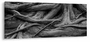 Kép - A fa gyökerei (120x50 cm)