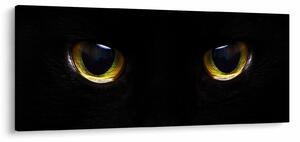 Kép - Macskaszemek (120x50 cm)