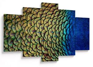Kép - Pávatollak (150x105 cm)