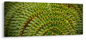 Kép - Fern (120x50 cm)