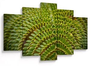 Kép - Fern (150x105 cm)