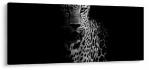 Kép - Egy leopárd portréja (120x50 cm)