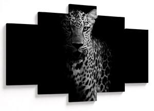 Kép - Egy leopárd portréja (150x105 cm)