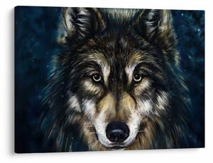 Kép - Wolf (70x50 cm)