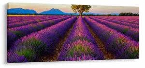 Kép - Levendula mező (120x50 cm)