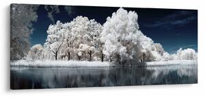 Kép - Hófehér fák (120x50 cm)