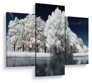 Kép - Hófehér fák (90x60 cm)
