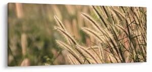 Kép - Gabona (120x50 cm)