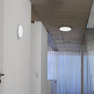 Ledvance Planon Frameless Round LED panel Ø 30cm