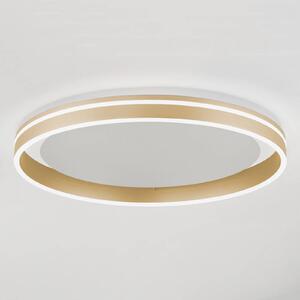 Q-Smart-Home Paul Neuhaus Q-VITO LED mennyezeti lámpa, Ø 60cm, dimmelhető, Sárgaréz / arany, Nappali / Étkező, fém, Modern