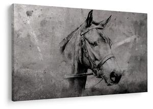 Kép - Egy ló portréja (90x60 cm)