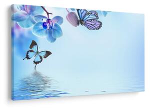 Kép - Pillangó orchidea virágon, kék (90x60 cm)