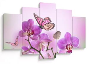 Kép - Pillangó orchidea virágon, lila (150x105 cm)
