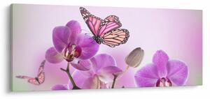 Kép - Pillangó orchidea virágon, lila (120x50 cm)