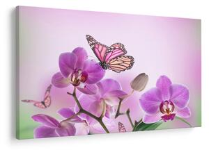 Kép - Pillangó orchidea virágon, lila (90x60 cm)