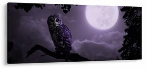 Kép - Éjjeli bagoly, lila (120x50 cm)