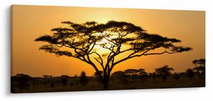 Kép - afrikai szavanna (120x50 cm)