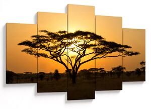 Kép - afrikai szavanna (150x105 cm)