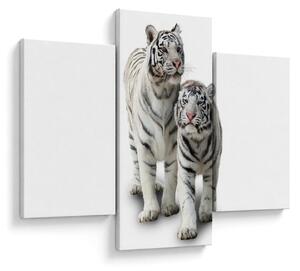 Kép - A fehér tigris (90x60 cm)