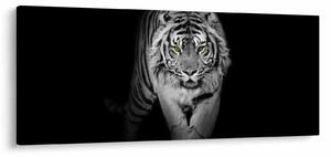 Kép - Sárga szemű tigris (120x50 cm)