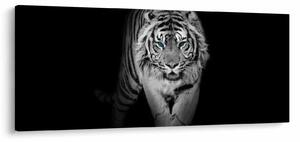 Kép - Tigris kék szemekkel (120x50 cm)