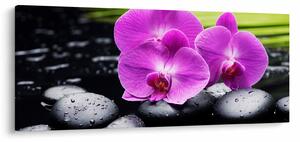 Kép - Orchideák (120x50 cm)