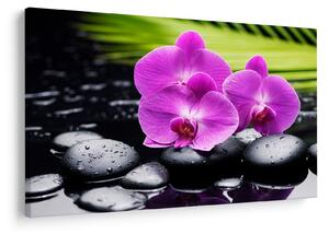 Kép - Orchideák (90x60 cm)
